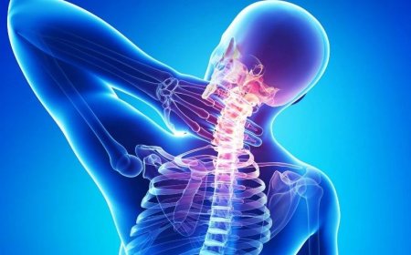 Омыртқа ауруларының бірнеше негізгі түрлері бар