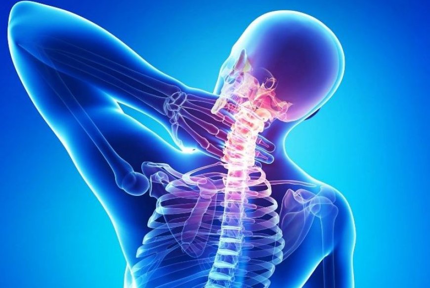 Омыртқа ауруларының бірнеше негізгі түрлері бар