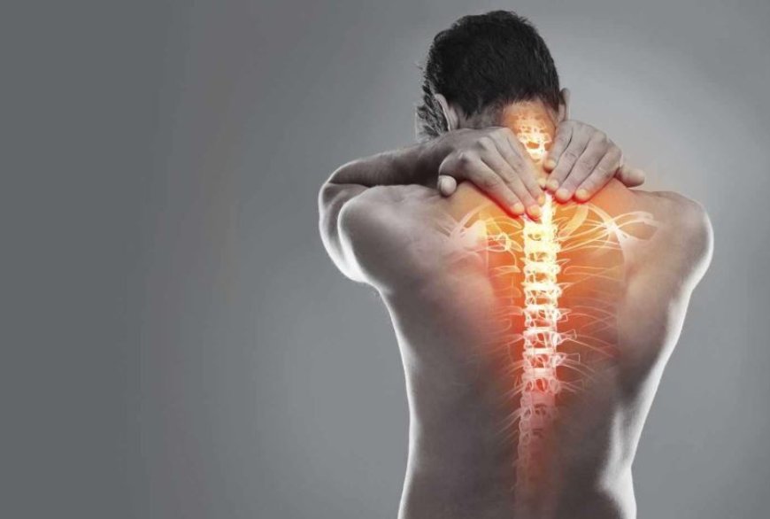 Омыртқа ауруларының алдын алу