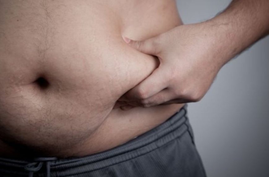 Артық салмақты тез қосатын факторлар