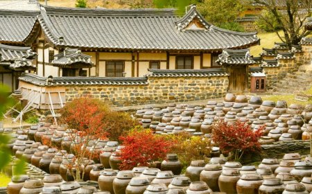 Traditional Foods Around the World