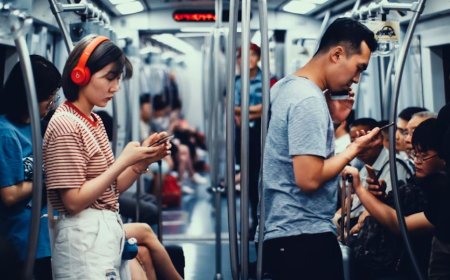 The Role of Social Media in Modern Society