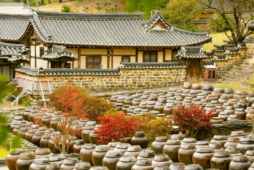 Traditional Foods Around the World