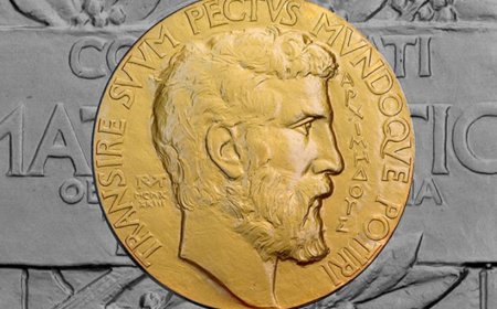 «Филдс» – математика саласындағы ең беделді халықаралық марапаттардың бірі